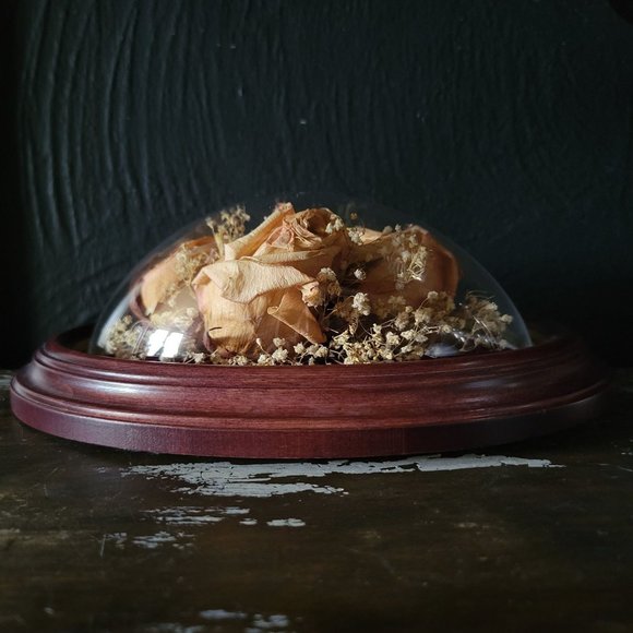 Mounted Freeze Dried Flowers, Framed Preserved Roses - Picture 3 of 6